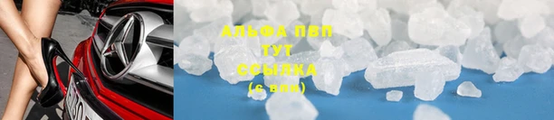мяу мяу мука Покачи