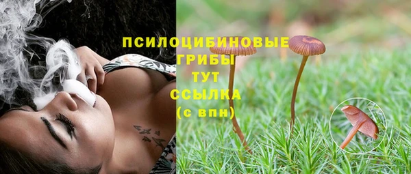 мет Нея