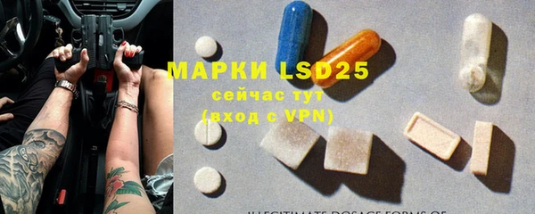 индика Нефтекумск