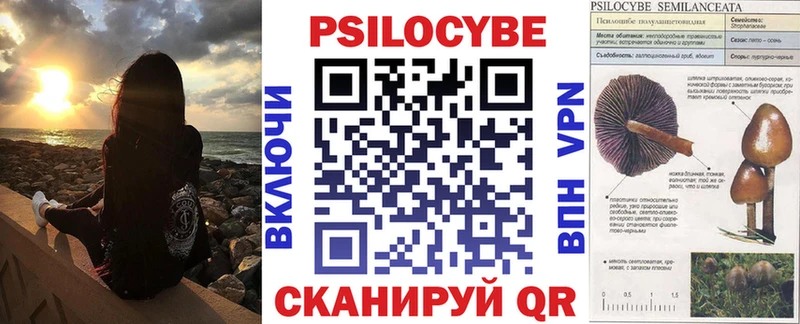 Псилоцибиновые грибы Cubensis  Белоярский 